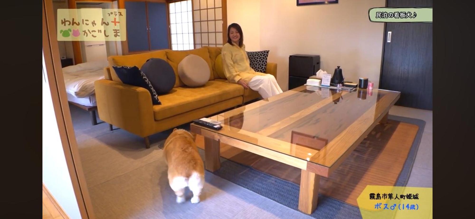 Boss'Shouse 犬ok 1組限定の宿 Kirishima Exterior photo